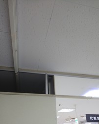 Before画像